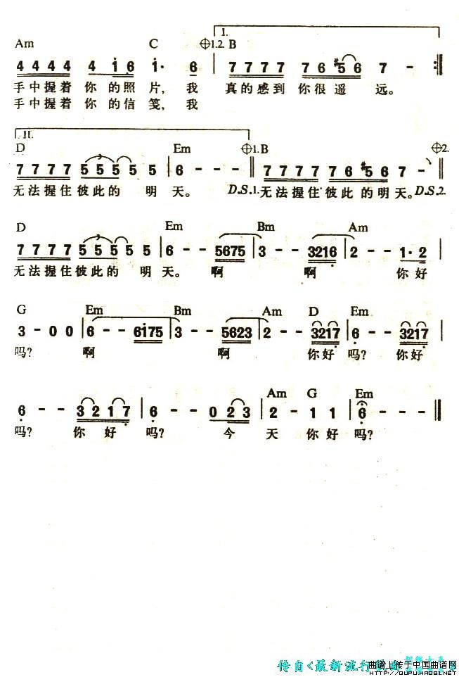 绹ļ׸